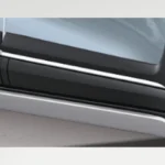 Body Side Moulding (Garnish Insert)